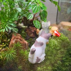 #214 【みや様専用ページ】苔アート　苔テラリウム　猫　ねこ　ネコ　フィギュア付き 4枚目の画像