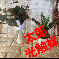 光触媒 人工観葉植物 ウォールグリーン 造花 アレンジ リアル 光触媒 人工観葉植物 ウォールグリーン 造花 アレンジ リアル