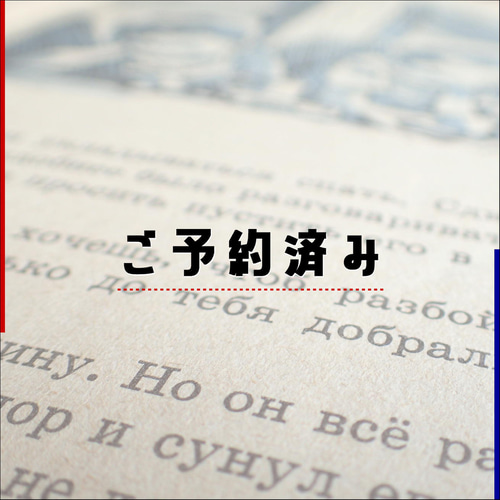 JILUKA sena 2024生誕祭　パーカー　XLサイズ JILUKA sena 2024生誕祭 パーカー XLサイズ