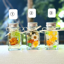 deuxRドライフラワー ハーバリウム 3本セット植物標本ボタニカルボトル ドライフラワー ハーバリウム・植物標本 のおすすめ人気通販