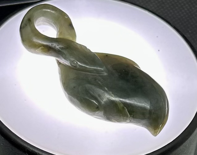 20世紀最大ミステリー　ネッシー 13,860円