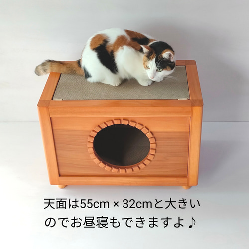 ☆☆さま　爪とぎハウス軽トラ keytail_ktde-005