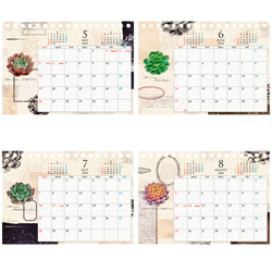【終売】2024 多肉植物卓上カレンダー＆ポスターカレンダー セット【おひとりさまにつき1点まで】 10枚目の画像