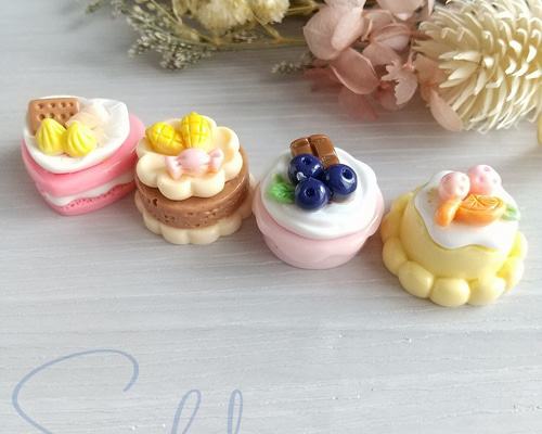 No.C16 いろんなフルーツケーキ盛りだくさんセット No.C16 いろんな