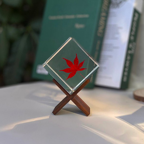 カエデの葉樹脂標本 6cmキューブ/スタンド付き木箱 その他置物 abbey