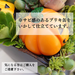 多肉植物　寄せ植え　ハロウィン 3枚目の画像