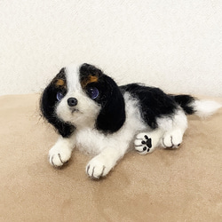 【obu様】羊毛フェルト　キャバリア 羊毛フェルトのおすわりキャバリア 犬のぬいぐるみ 羊毛フェルト