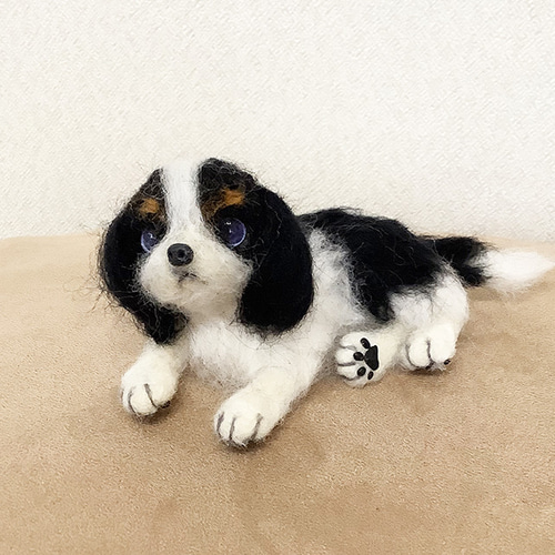 キャバリアキングチャールズスパニエル＊トライカラー＊羊毛