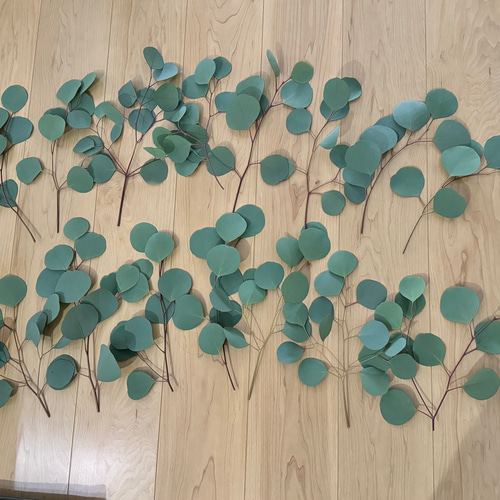 無農薬 ユーカリポポラス 切り枝 ネコポス入るだけ その他素材