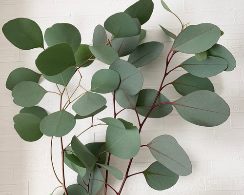 e1683686f49154da952186d0c59658