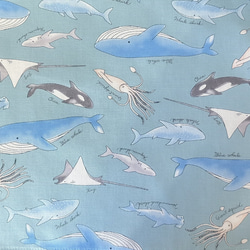 【サイズが選べる】　ランチョンマット　♡　ナフキン　♡ マリン柄　海　魚　クジラ シャチ エイ イカ サメ 5枚目の画像