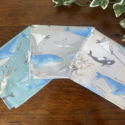 R9☆ランチマット5枚セット40×50 ネームタグ付海の生き物魚サメ