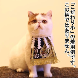 【こだわり・小】猫ちゃん化粧まわし《福呼ぶ招き猫・黄》【名入れOK】小型犬にも！ 9枚目の画像