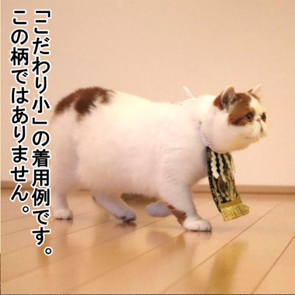 【こだわり・小】猫ちゃん化粧まわし《福呼ぶ招き猫・黄》【名入れOK】小型犬にも！ 10枚目の画像