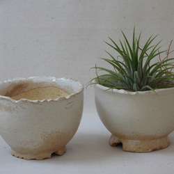 白陶器植木鉢(1) 7枚目の画像