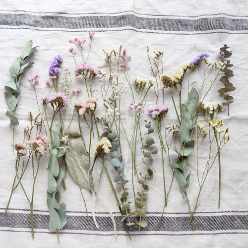 calm beach　ドライフラワー花材 ハンドメイド花材】長めナチュラルドライフラワー花材セット その他