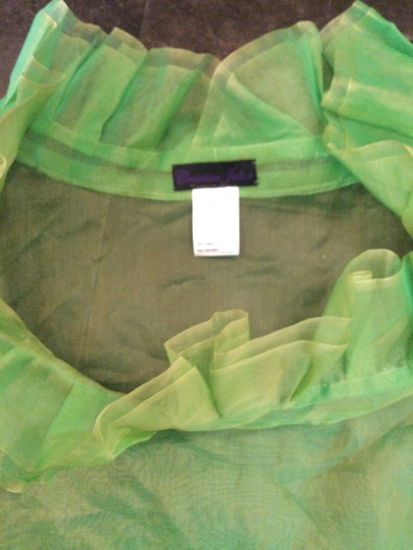 シルクオーガンジーで作られた　ブラウス　黄緑 2枚目の画像