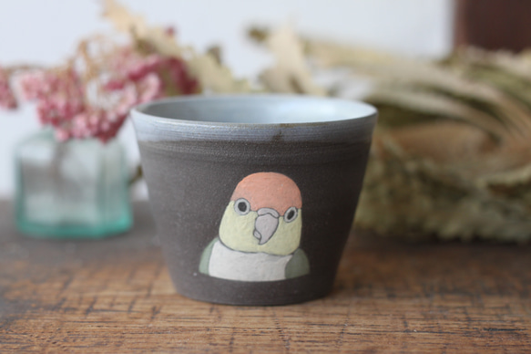 白腹鸚鵡飲水杯 第1張的照片