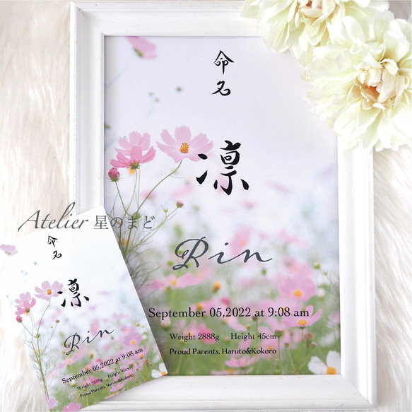 命名書☆オーダー☆おしゃれな誕生月・季節花の命名紙☆「秋桜」 A4（A3）サイズ＆葉書サイズのお得なセット♪ 1枚目の画像