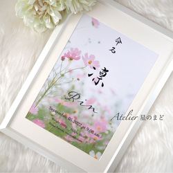 命名書☆オーダー☆おしゃれな誕生月・季節花の命名紙☆「秋桜」 A4（A3）サイズ＆葉書サイズのお得なセット♪ 5枚目の画像
