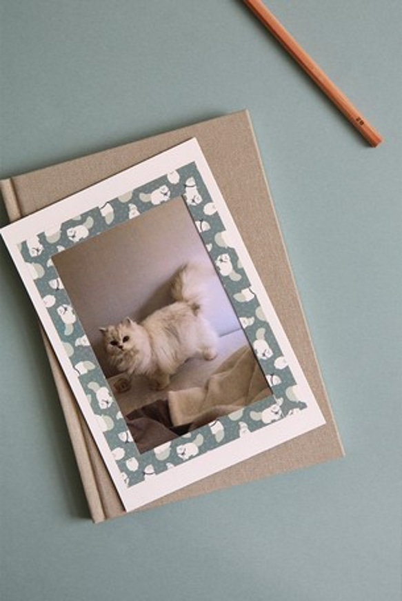 単品1点！『Persian cat 　お洒落キャット　マスキングテープ』～ネコちゃん柄　1個～ 3枚目の画像