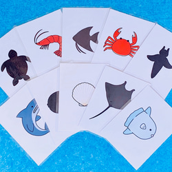 カードパネル　シルエットクイズ遊び　海のいきものセット 1枚目の画像