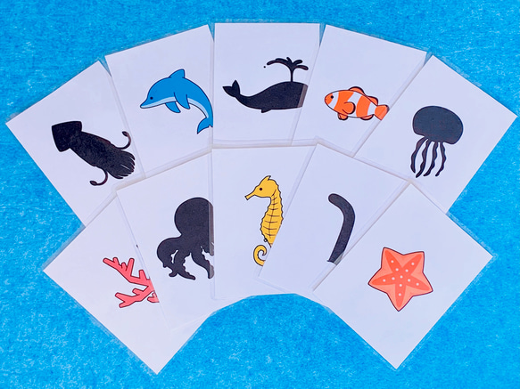 カードパネル　シルエットクイズ遊び　海のいきものセット2 1枚目の画像