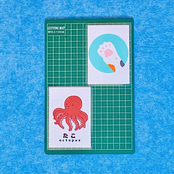知育玩具　絵合わせカード(海のいきものセット) 40枚 4枚目の画像