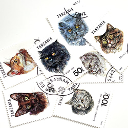 ドイツ製首振り人形 Bobbing Animals ｜お座りネコ Black（黒猫