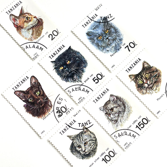 一套 7 張貓郵票坦尚尼亞 1992 年（外國郵票/舊郵票）| 古董/復古 第2張的照片