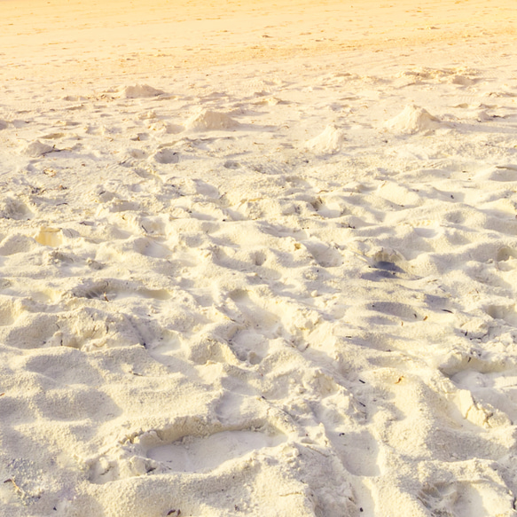 海洋沙灘金色夕陽山水畫/室內海報外國藝術/5235 第7張的照片