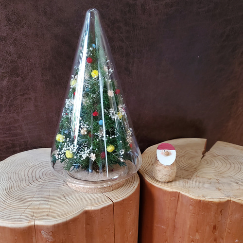 ガラスドームのミニクリスマスツリー （Creema限定） プリザーブド