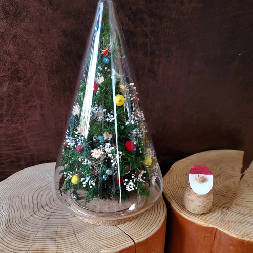 ガラスドームのミニクリスマスツリー （Creema限定） プリザーブド