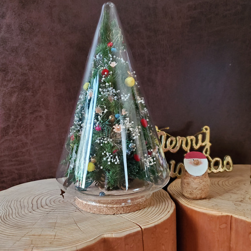 ガラスドームのミニクリスマスツリー （Creema限定） プリザーブド