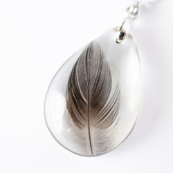 - silver - うちの子の羽根入り雫ネックレス（愛鳥さんの羽根で作るアクセサリー） 3枚目の画像