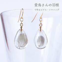 大きく羽ばたく私　　イヤリング価格となっております 大きく羽ばたく私 イヤリング価格となっております
