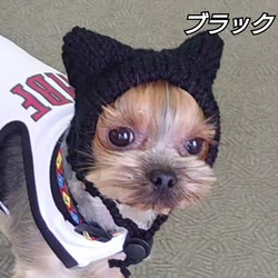 犬の帽子　猫耳ニット帽 2枚目の画像