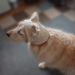 犬の帽子　猫耳ニット帽 10枚目の画像