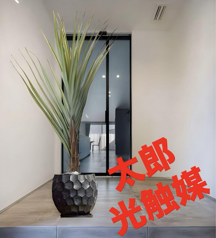 光触媒　人工観葉植物　ウォールグリーン　フェイクグリーン　アガベテナータ花器付aj