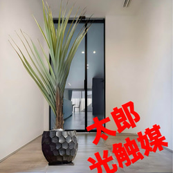 光触媒 人工観葉植物 ウォールグリーン フェイクグリーン ボール