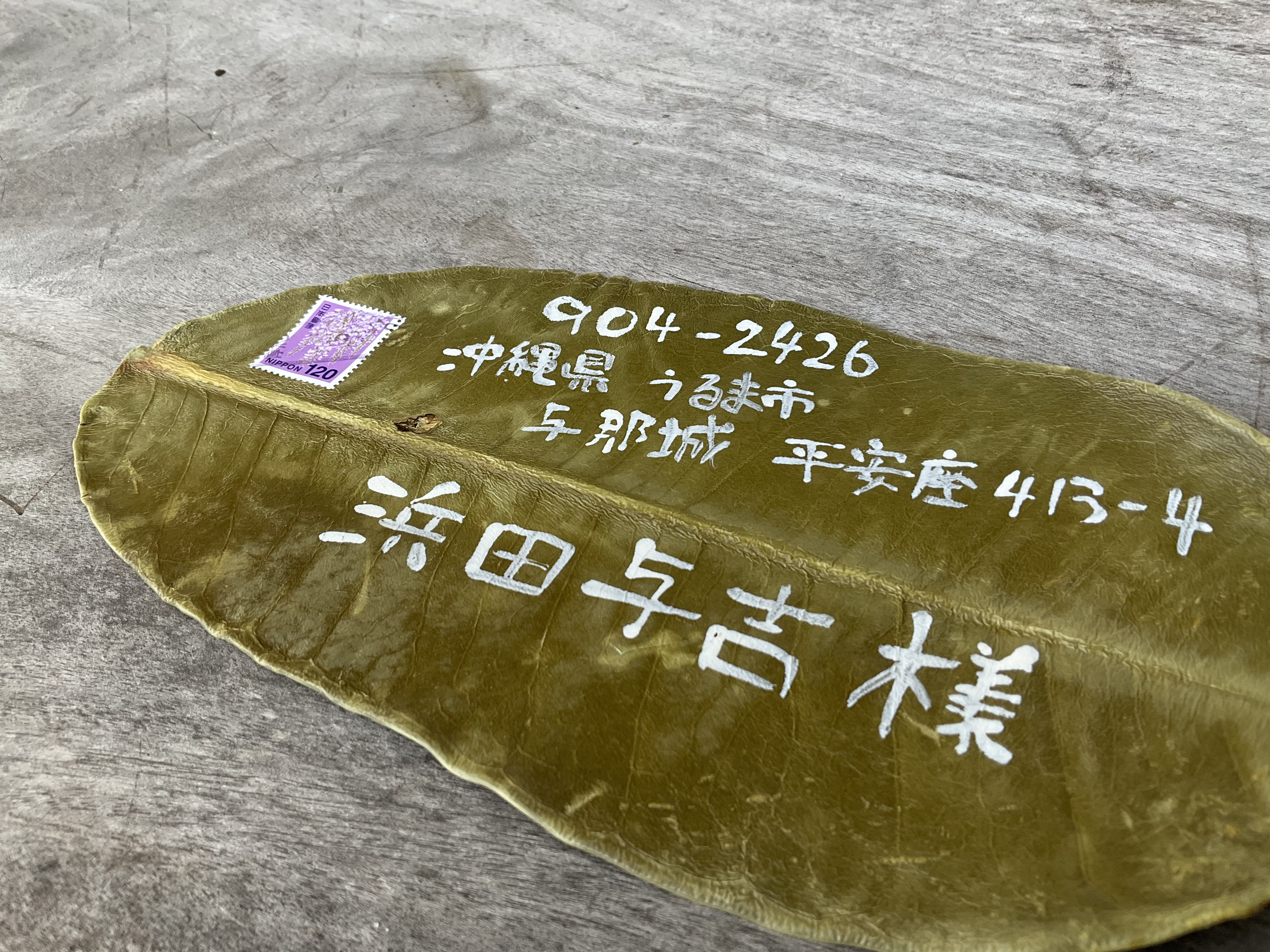 oky088-Shrine Namiuegu Shrine Okinawa 官幣小社波上宮 沖縄