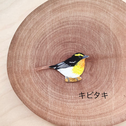 可愛い野鳥のブローチ 9枚目の画像