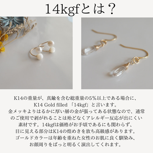 14kgf 痛くないイヤリング medium アレルギー対応 ピアスに見える