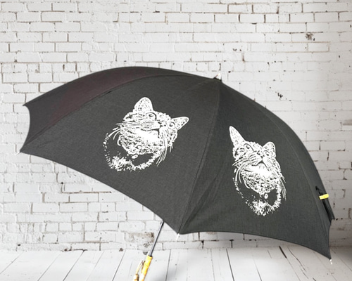 8037f63ff4bfb269ad738c07255c5c