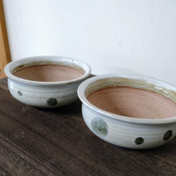 陶器の植木鉢　「ポワ」 多肉植物　盆栽 7枚目の画像