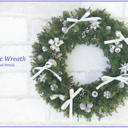 ポインセチアの華やかクリスマスリースL ナチュラルスクリスマス2025