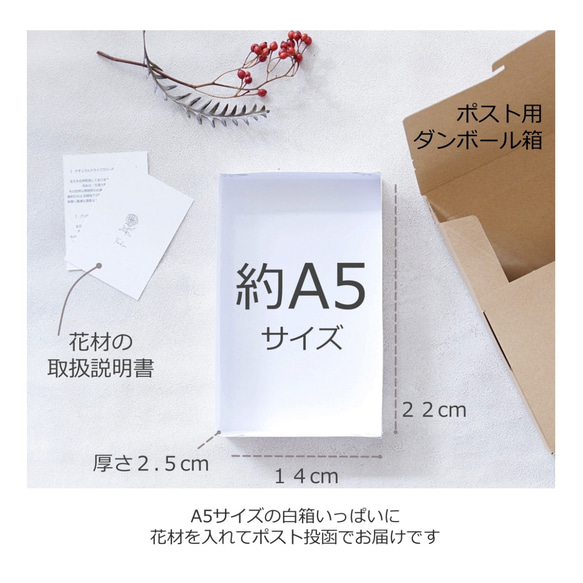 【送料無料 花材セット】リーフ系ドライフラワー＆プリザーブドフラワー花材パーツセット 3枚目の画像