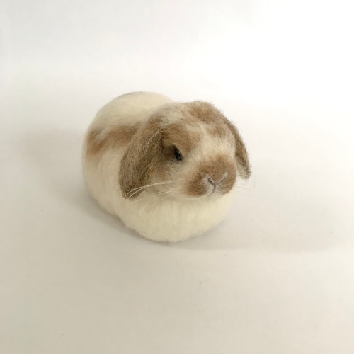 もふっとまるっとうさぎさん〜 うさぎ 羊毛フェルト ロップ