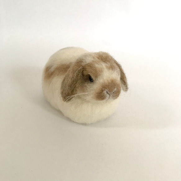 うさぎさん もふっとまるっとうさぎさん〜 うさぎ 羊毛フェルト