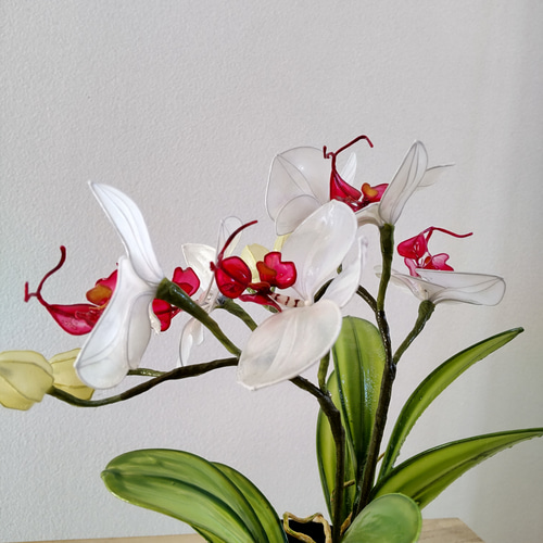 胡蝶蘭♡ホワイト♡鉢植え♡アメリカンフラワー♡ディップアート 胡蝶蘭♡ホワイト♡鉢植え♡アメリカンフラワー♡ディップアート